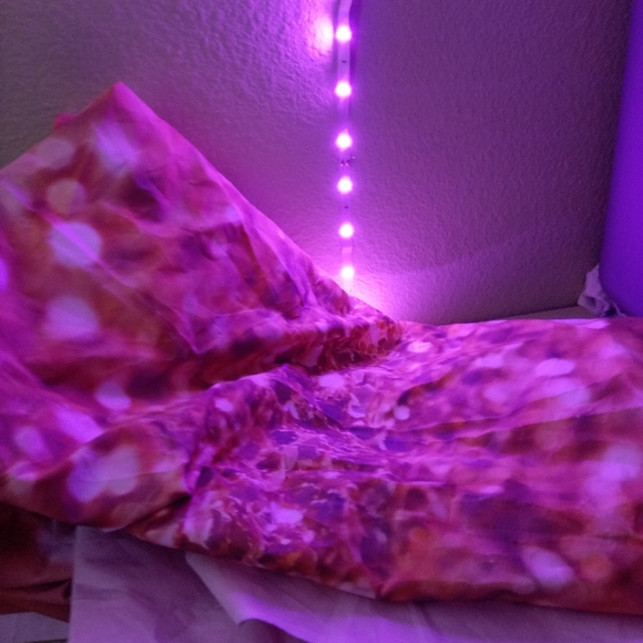 Backdrop - Picture 4 of 8